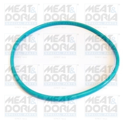 Seal, fuel tank cap